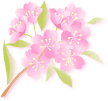 �C���X�g
